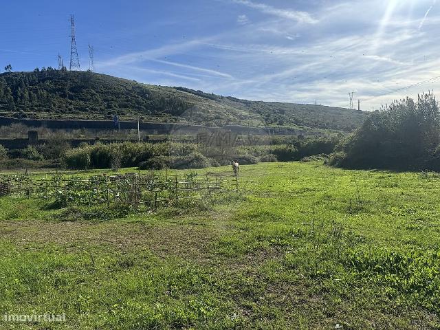Terreno alugar em Lisboa, Casal do Pelão