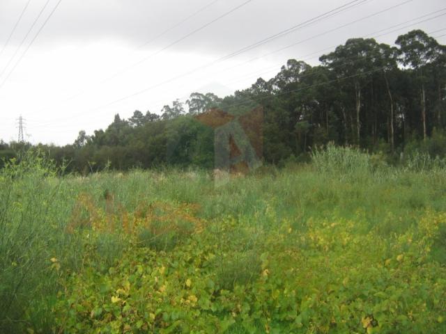 Terreno alugar em Maia, Barca
