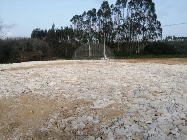 Terreno alugar em Alcobaça, Leiria