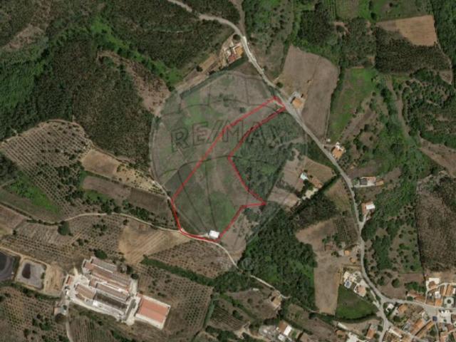 Terreno alugar em Alcobaça, Leiria