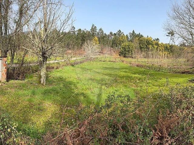 Terreno alugar em Barreiro de Besteiros, Tondela