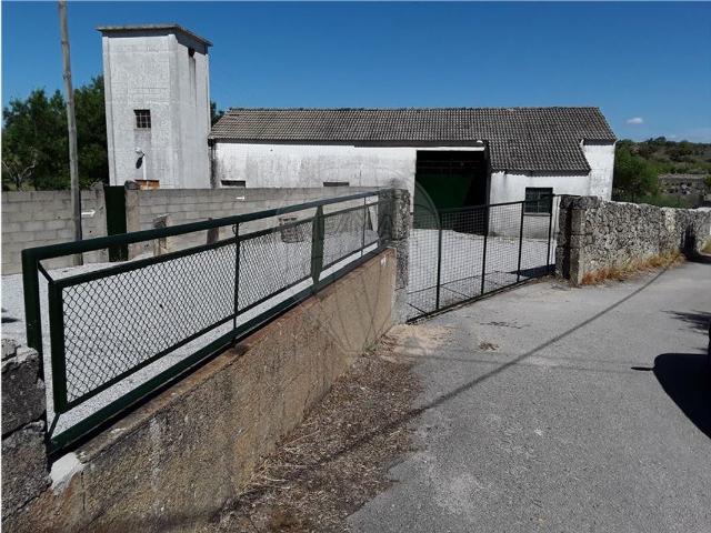Terreno alugar em Castelo Branco