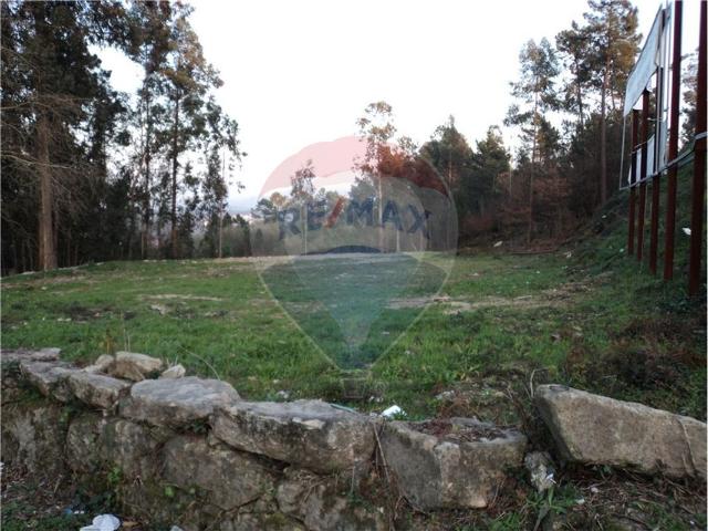 Terreno alugar em Braga, Prado (São Miguel)