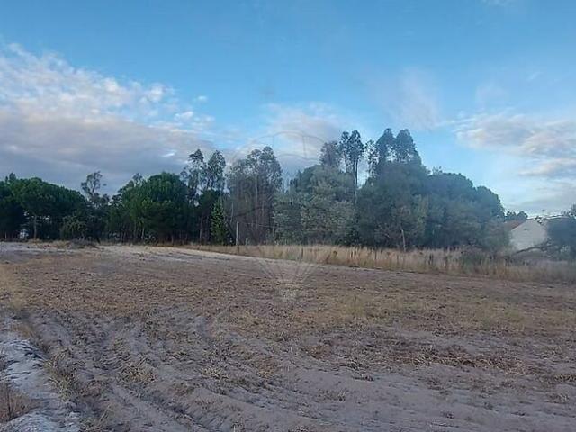 Terreno alugar em Grândola, Setúbal