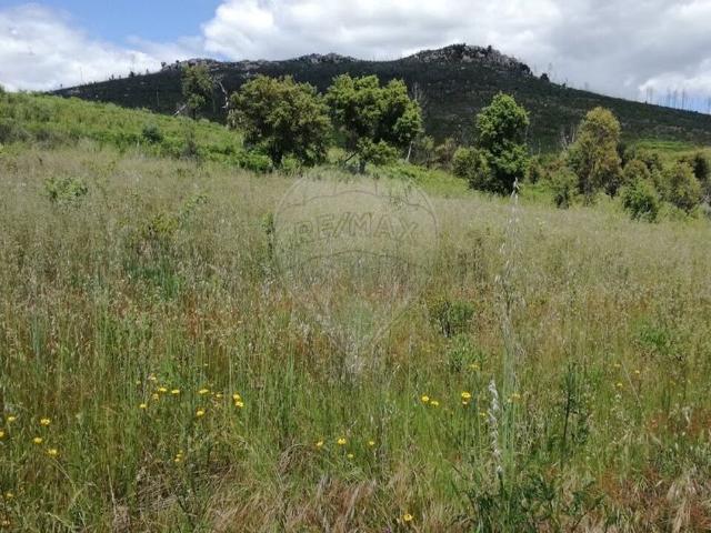 Terreno alugar em Santarém, Vilar da Lapa