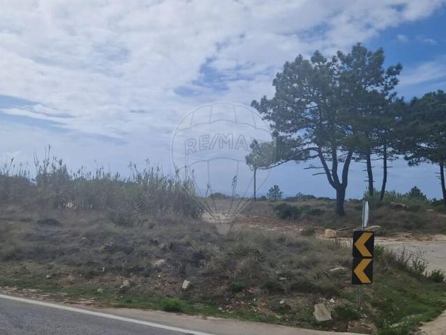 Terreno alugar em Lisboa, Magoito