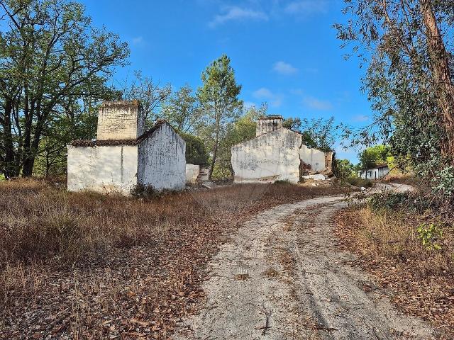 Terreno alugar em Montargil, Ponte de Sor