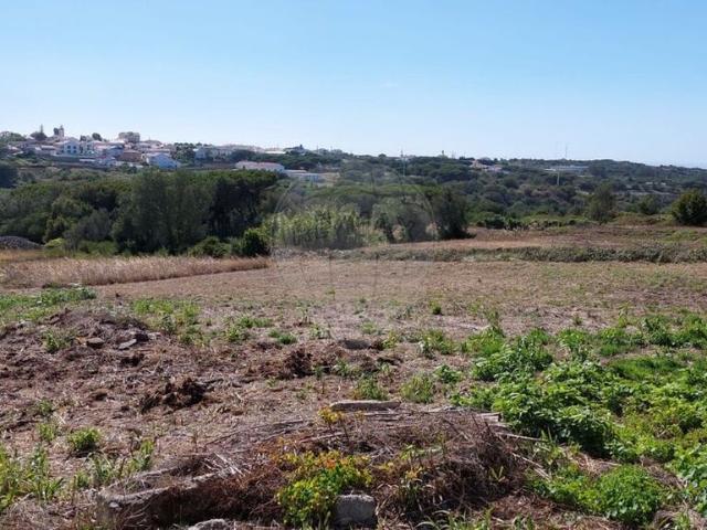 Terreno alugar em Lisboa, Monte Arroio