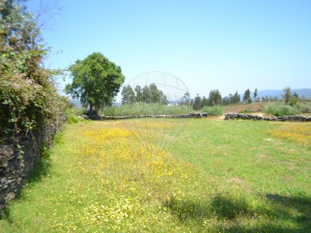 Terreno alugar em Porto, Sarnada