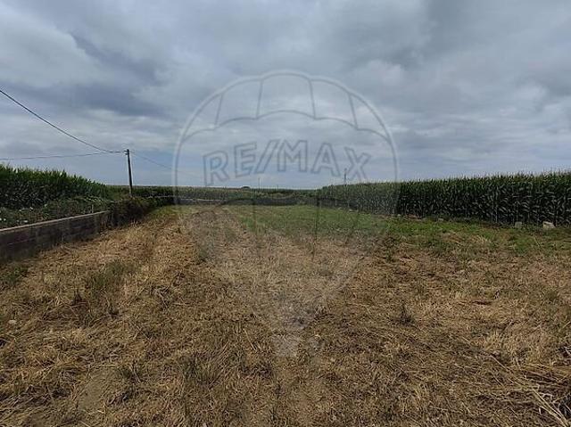 Terreno alugar em Angeiras, Matosinhos