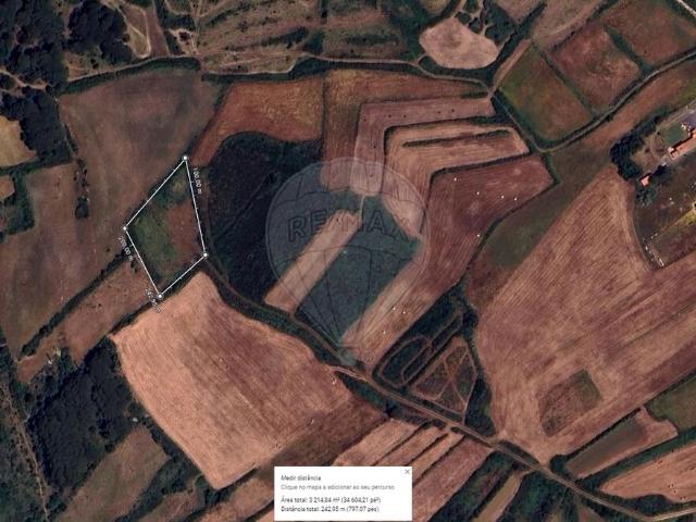 Terreno alugar em Lisboa, Pernigem