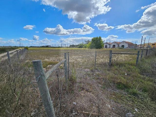 Terreno alugar em Palmela, Setúbal