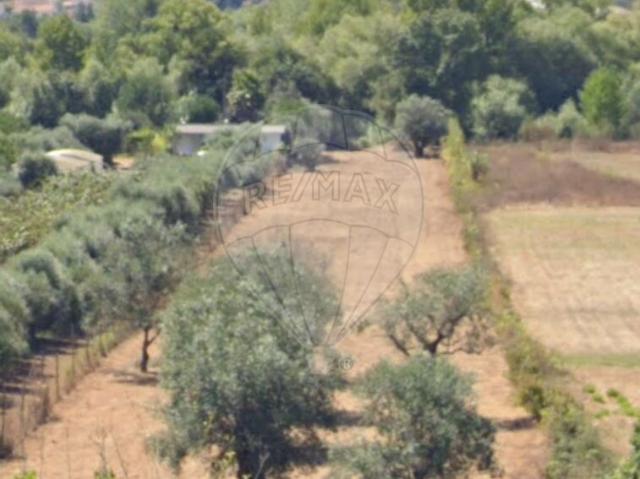 Terreno alugar em Pombal, Leiria