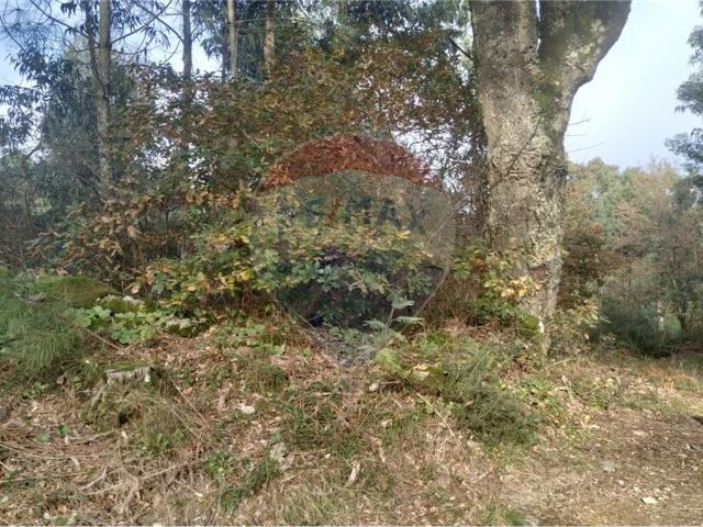 Terreno alugar em Braga, Portela