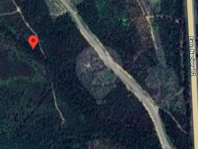 Terreno alugar em Sardoal