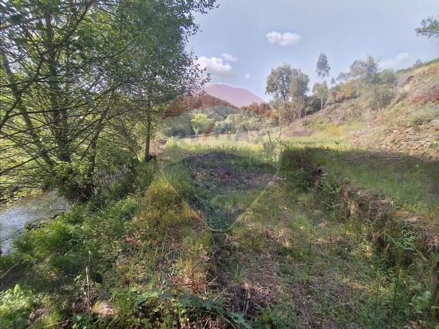 Terreno alugar em Castelo Branco, Vale da Água