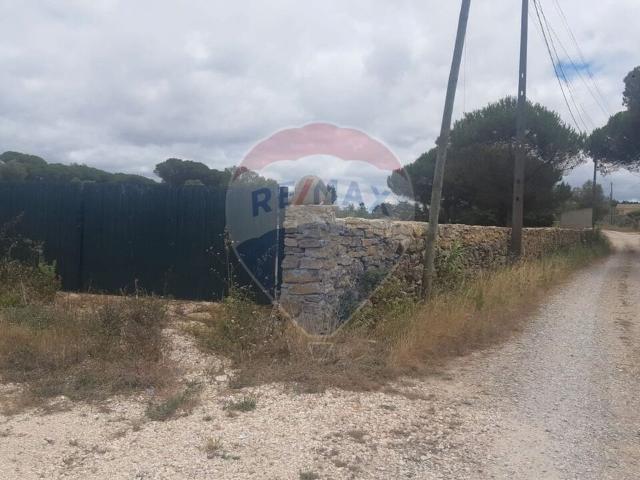 Terreno alugar em Sácario, Sintra