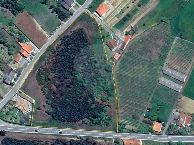 Terreno alugar em Tondela, Viseu