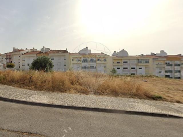 Terreno alugar em São Pedro, Lapas e Ribeira Branca, Torres Novas