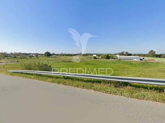 Terreno alugar em Grândola, Setúbal
