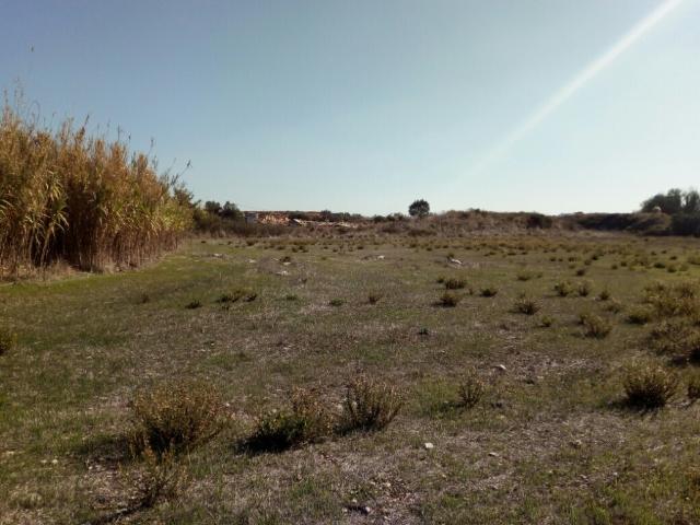 Terreno alugar em Almargem do Bispo, Pêro Pinheiro e Montelavar, Almargem Do Bispo