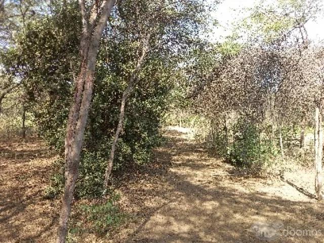 Terreno venta en Mancora, Piura