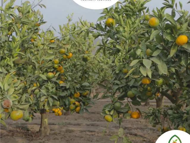 Terreno venta en Huaral, Lima Metropolitana