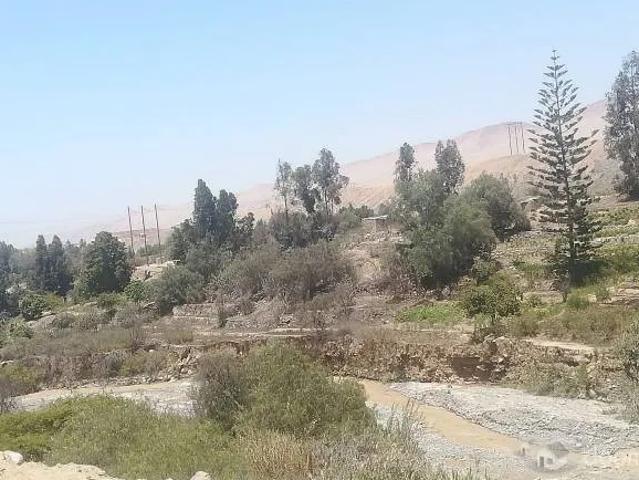 Terreno alquiler en Tacna