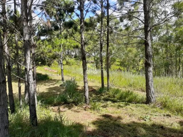 Fazenda venda em Região Imediata de Jundiaí, Jundiaí