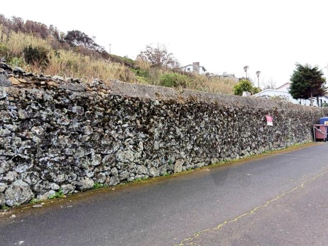 Terreno venda em Torres Vedras, Lisboa