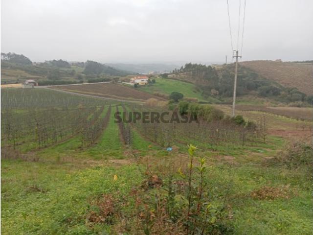 Terreno venda em Caldas Da Rainha, Leiria