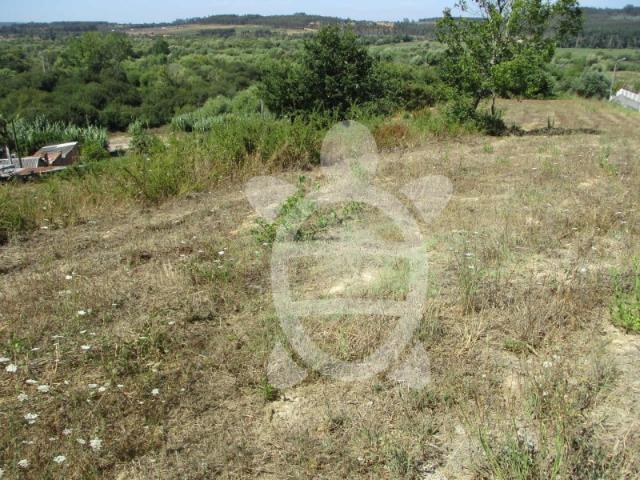 Terreno venda em Casal do Paço, Soure