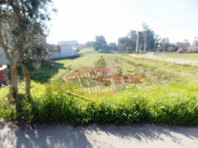 Terreno venda em Fermentelos, Águeda