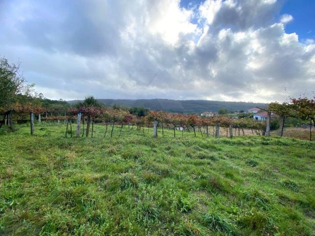Terreno venda em Coura, Viana Do Castelo