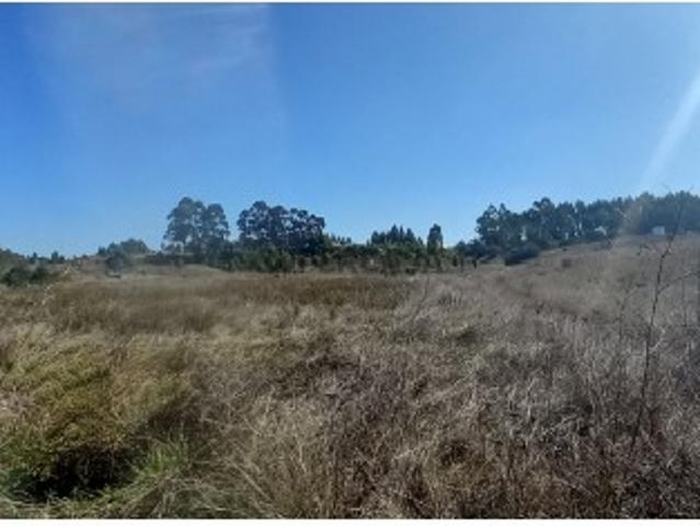 Terreno venda em Ponte De Vagos, Aveiro