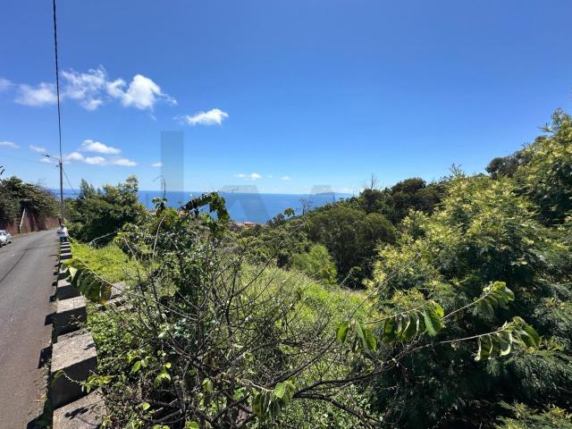 Terreno venda em Machico, Ilha Da Madeira