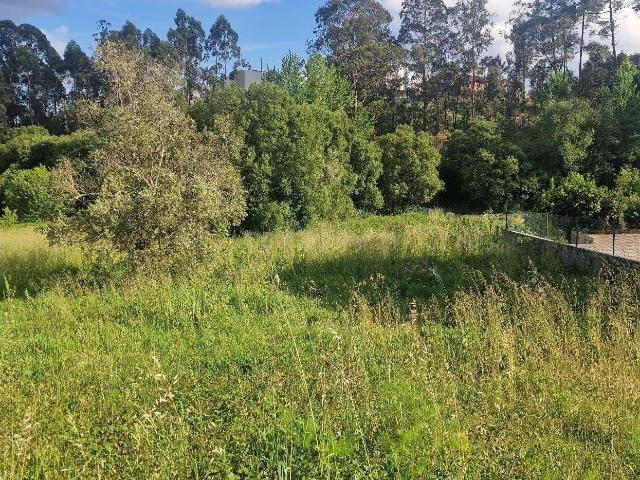 Terreno venda em Pombal, Leiria