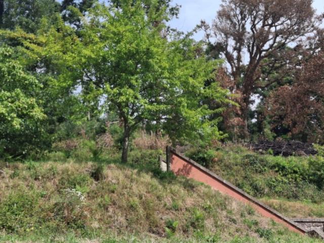 Terreno venda em Boalhosa, Viana Do Castelo
