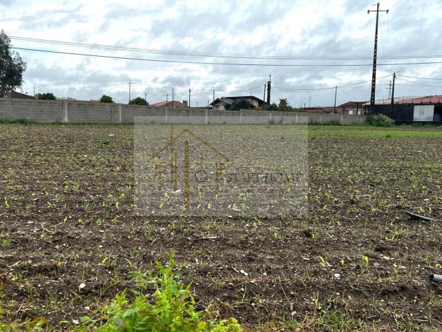 Terreno venda em Ovar, Aveiro