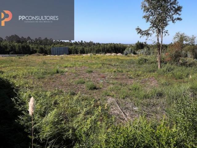 Terreno venda em Santa Maria Da Feira, Aveiro