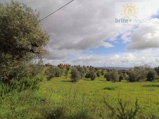 Quinta venda em Tomar (São João Baptista) e Santa Maria dos Olivais, Tomar