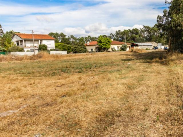 Terreno venda em Casal do Gaio, Montemor-o-velho