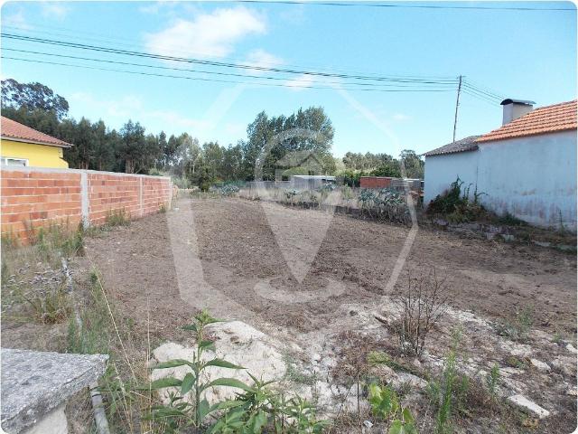 Terreno venda em Vagos