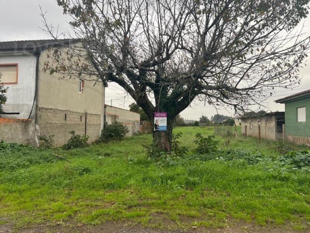 Terreno venda em Quinta do Morangal, Águeda