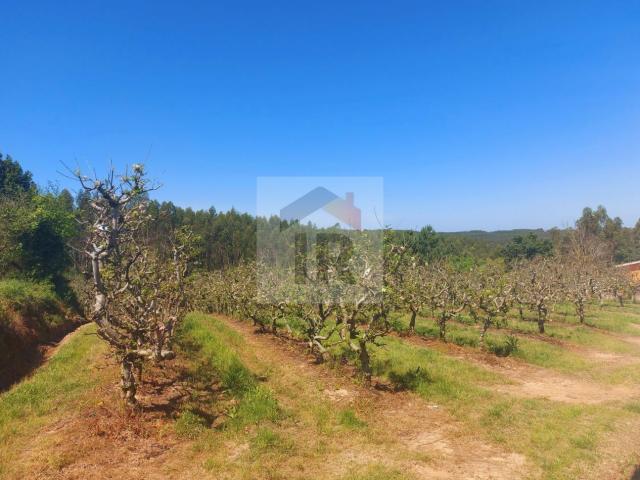 Terreno venda em Fanadia, Caldas Da Rainha