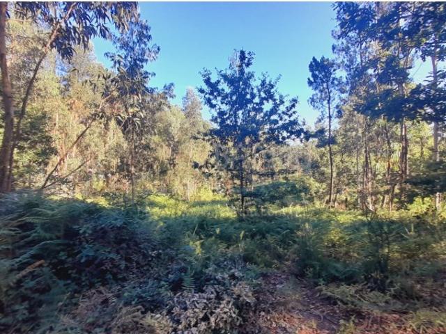 Terreno venda em Valença, Viana Do Castelo