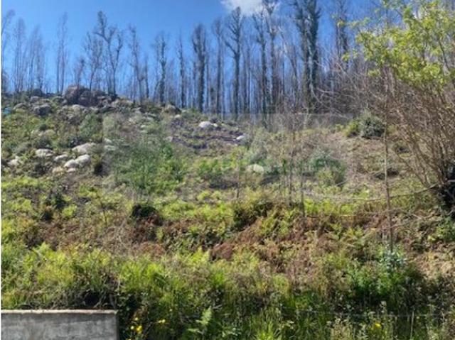 Terreno venda em Sóligo, Sever Do Vouga