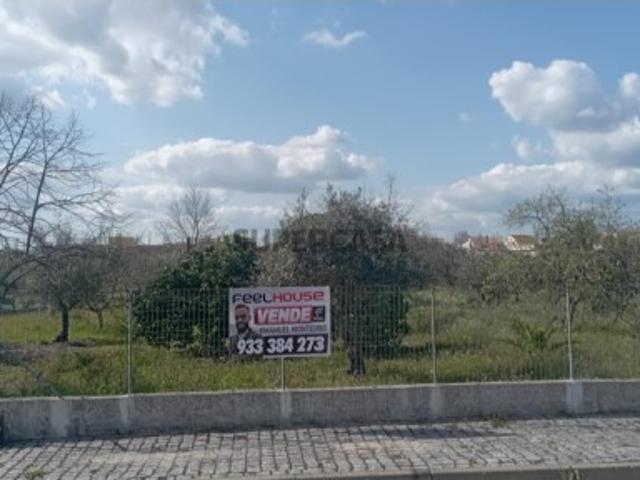 Terreno venda em Foros do Arrão, Ponte De Sor