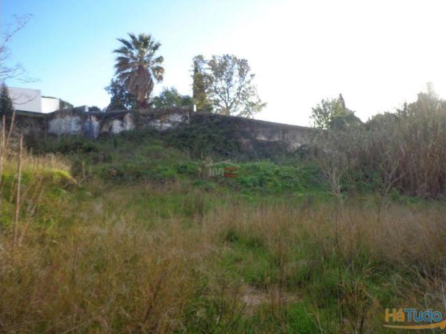 Terreno venda em Alcanena, Santarém
