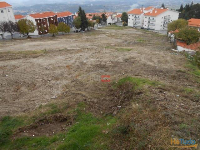 Terreno venda em Castelo Branco